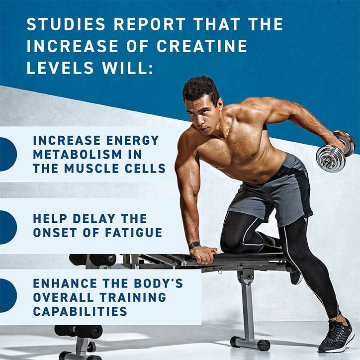 Applied Nutrition Creatine Monohydrate - Creatine Powder