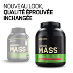 Optimum Nutrition Serious Mass