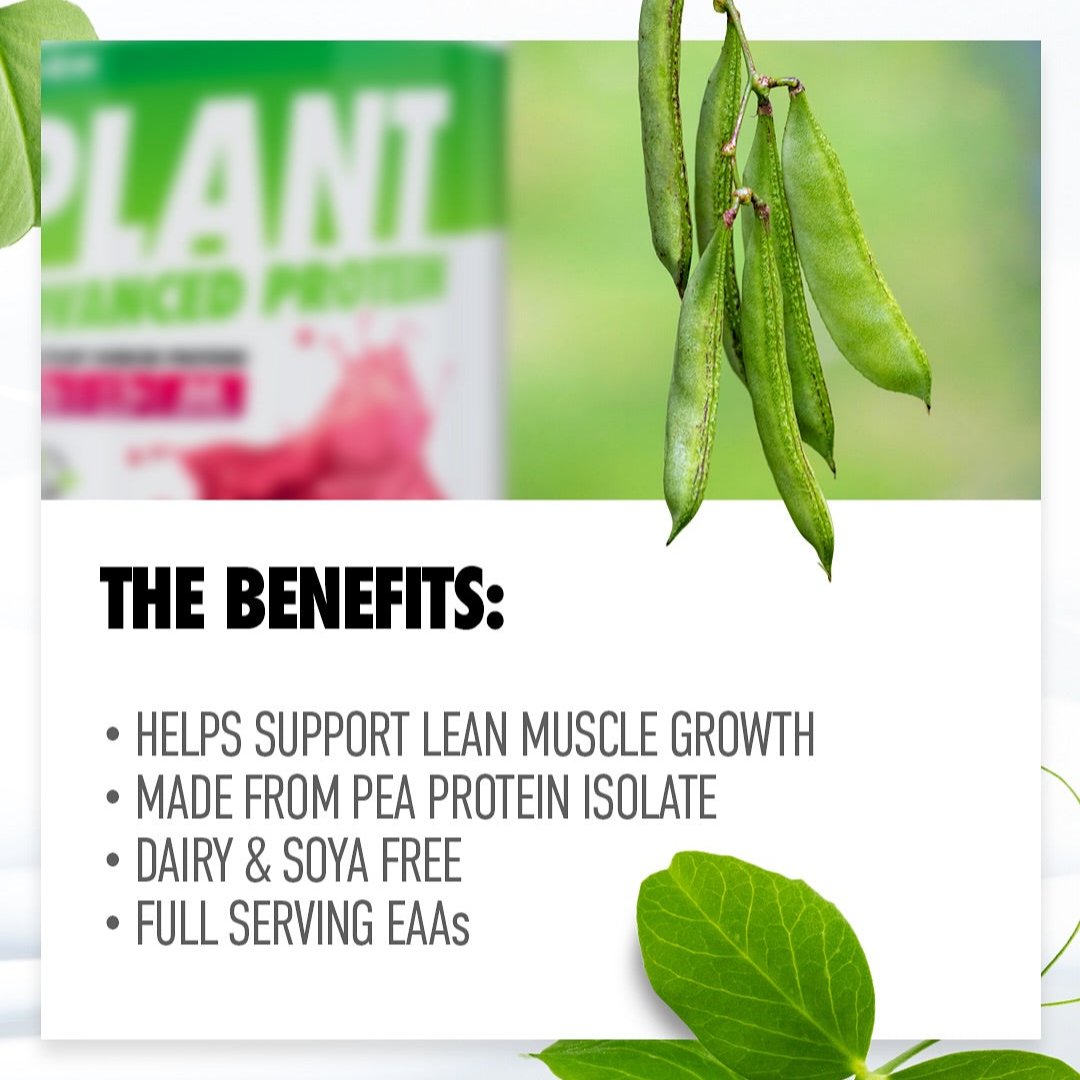 Per4m Plant Protein - Vegan Protein Powder