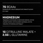 XTEND BCAA - BCAAs