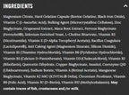Reflex Nutrition Nexgen - 60 Caps - Multivitamins