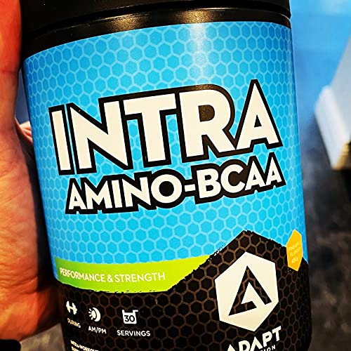 Adapt Nutrition Intra Amino BCAA - Amino Acids Powder