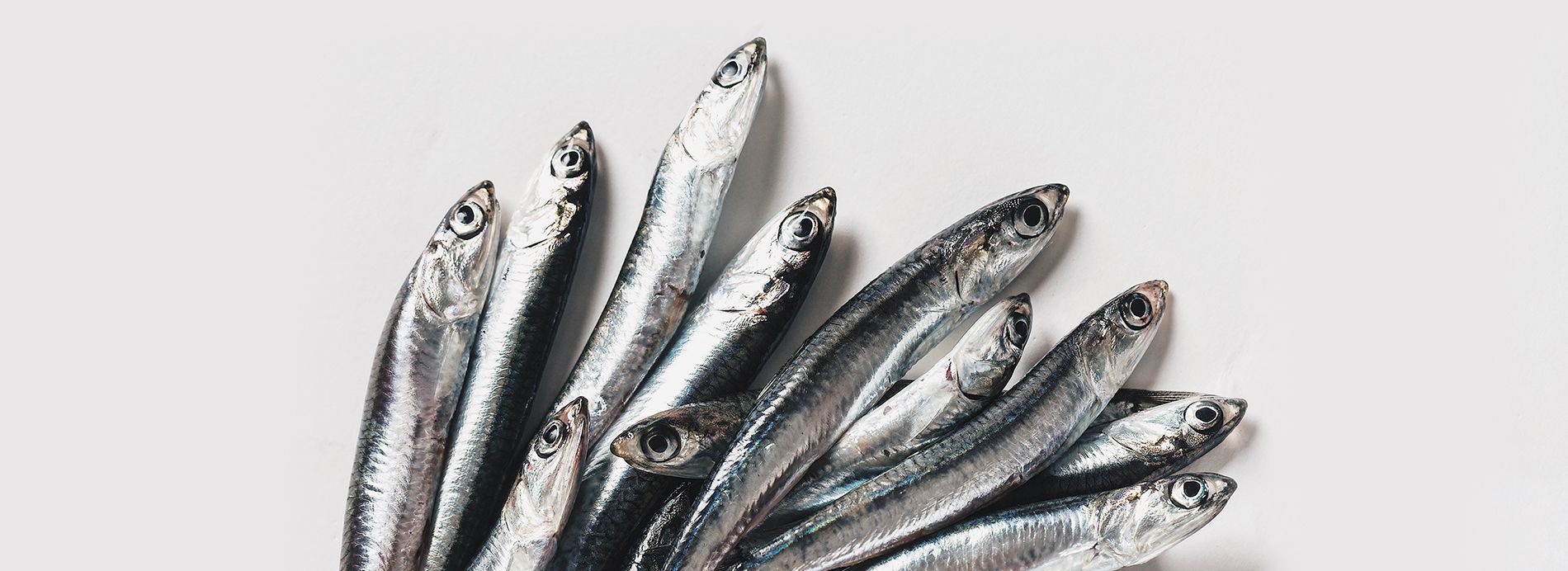 Pile of fresh wild anchovies for Vilgain Omega 3 to support your cardiovascular health