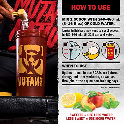 Mutant BCAA 9.7 - 1kg / Fruit Punch