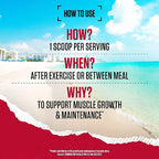 BSN True Mass All-In-One Gainer - All-In-One Gainer Powder