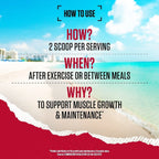 BSN True Mass 1200 - Protein Blends