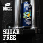 NOCCO BCAA