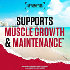 BSN True Mass All-In-One Gainer - All-In-One Gainer Powder