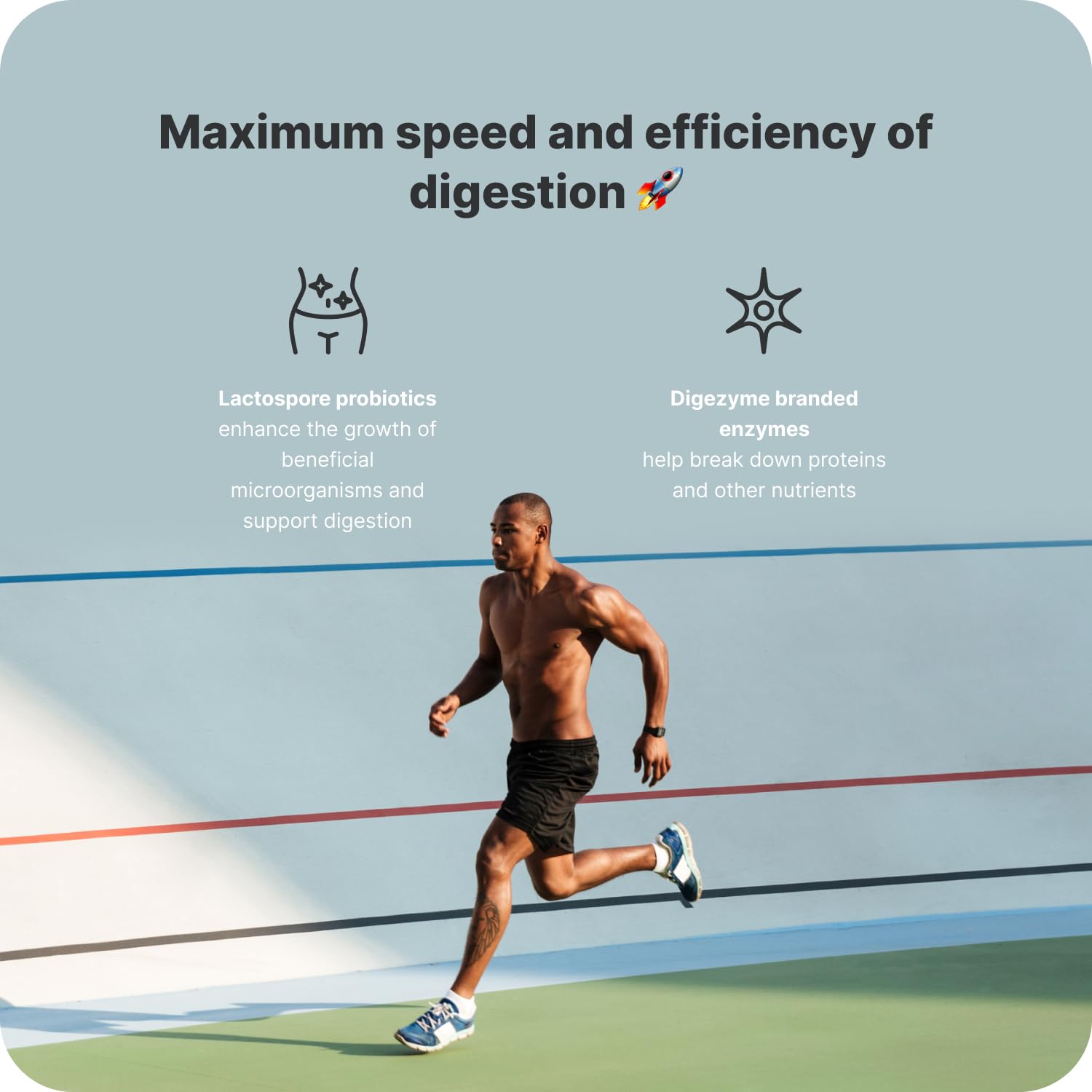 Vilgain Grass-fed Multi Whey Protein