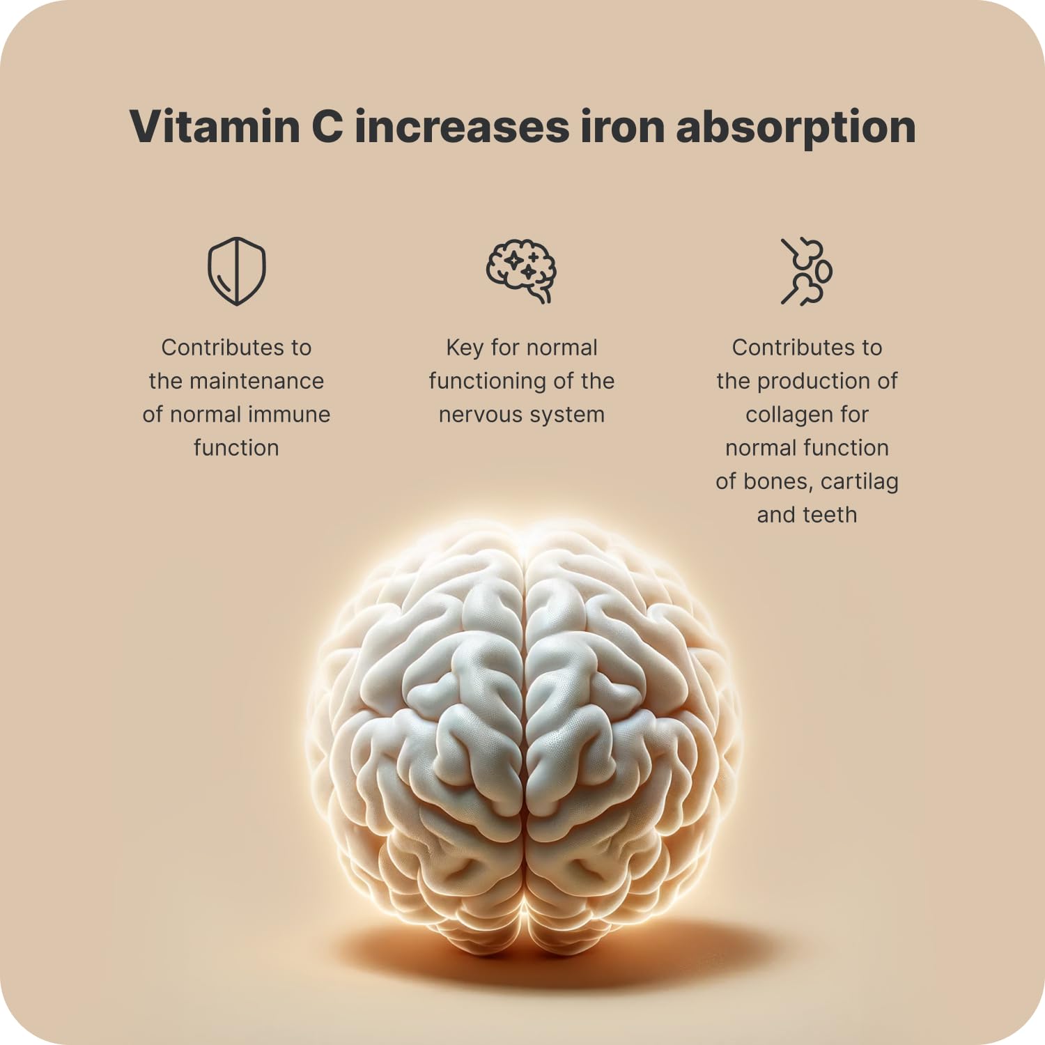 Vilgain Iron + Vitamin C - 90 Caps - Iron Capsules