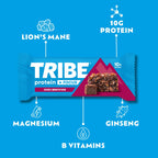 Tribe Protein + Focus Flapjack - Protein Flapjacks