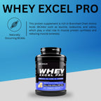 Outangled Whey Excel Pro - Whey Protein Powder