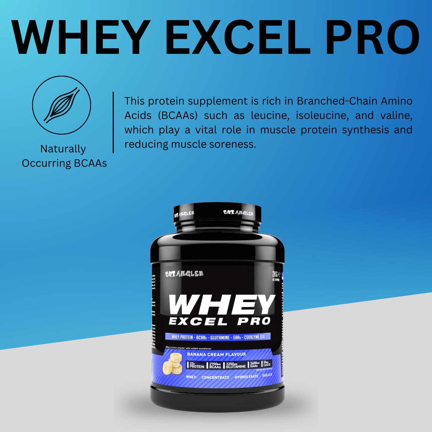 Outangled Whey Excel Pro - Whey Protein Powder