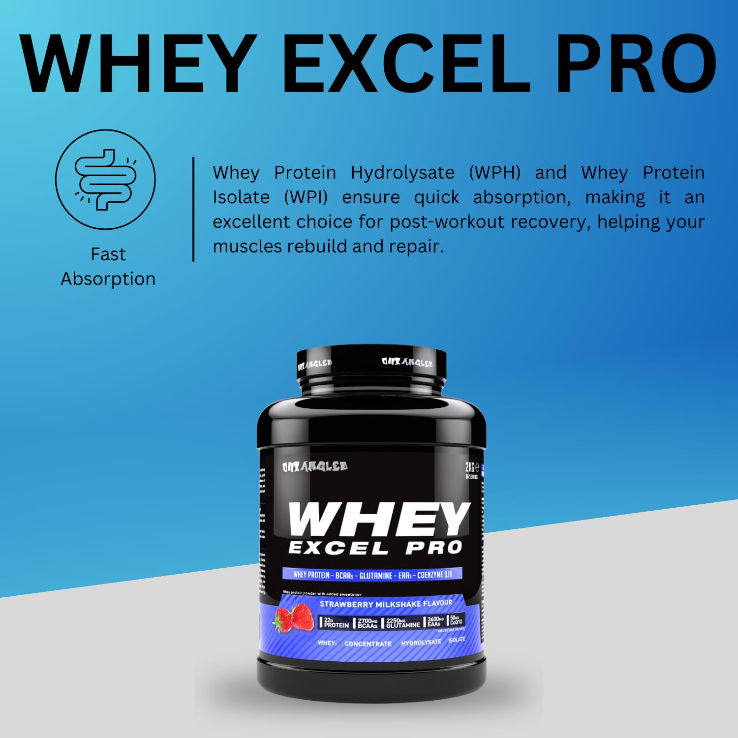 Outangled Whey Excel Pro - Whey Protein Powder