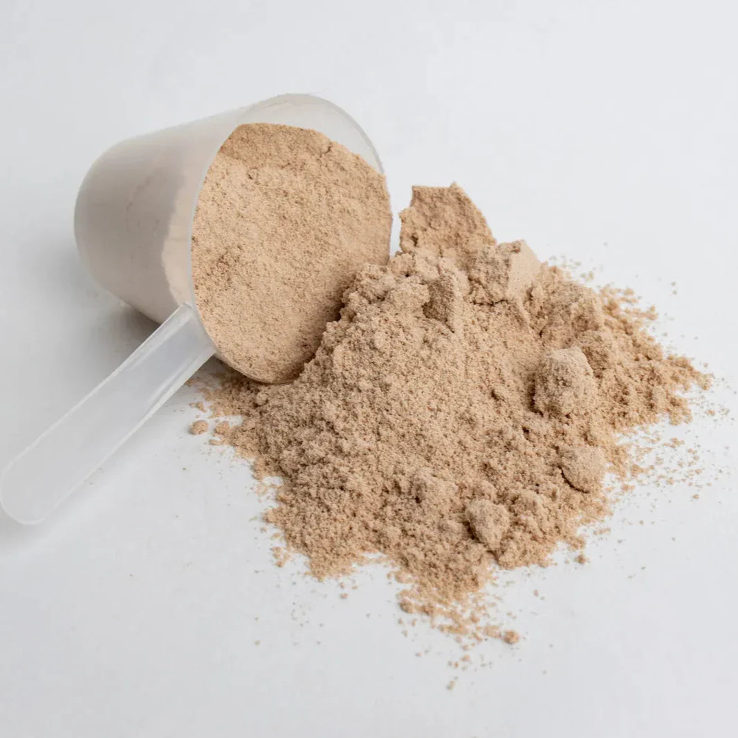 Vilgain Grass-fed Whey Protein - Whey Protein Powder