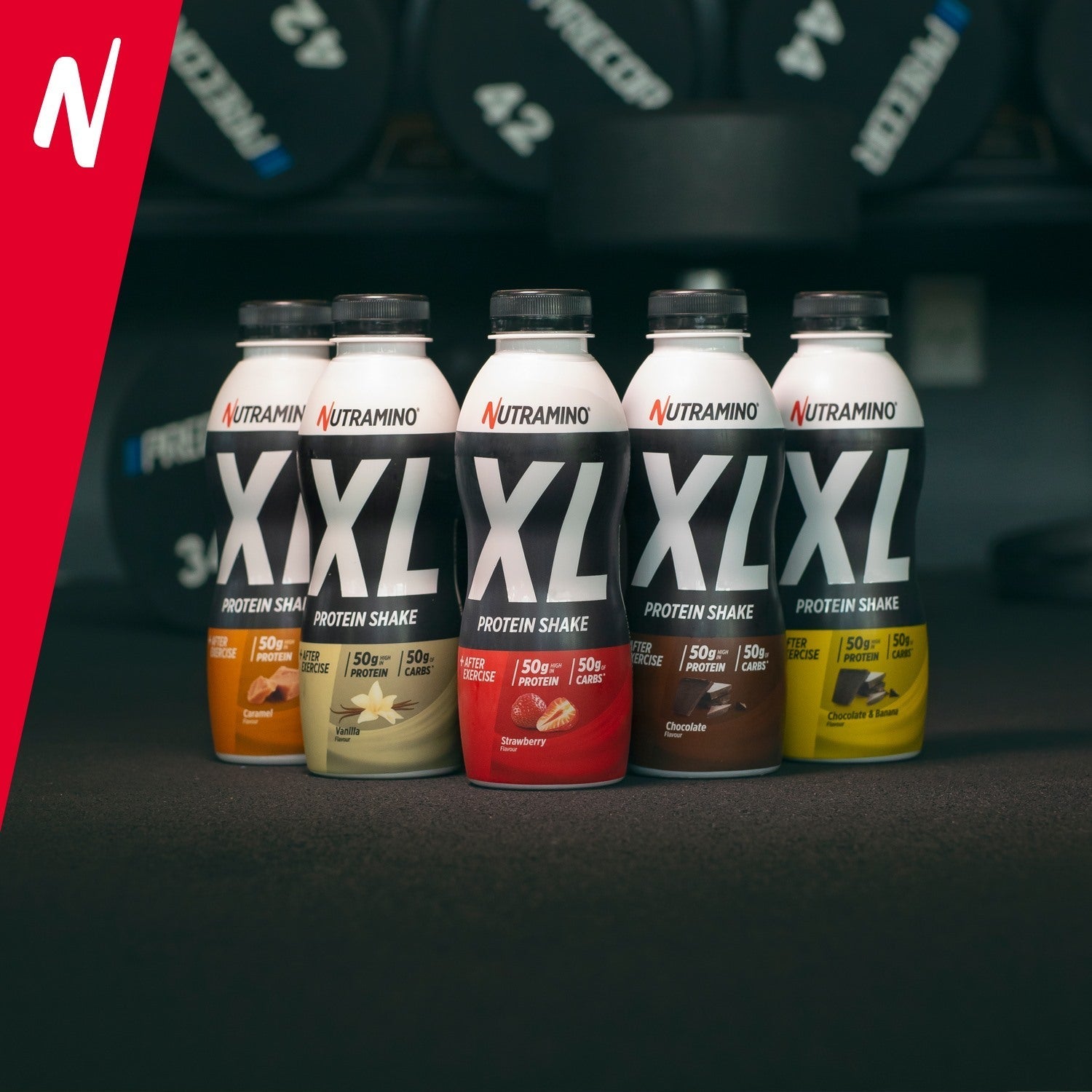 Nutramino Protein XL Shake - Whey Protein Ready-to-Drinks