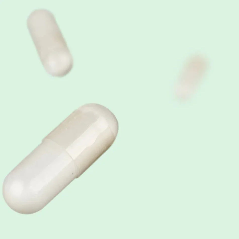 Vilgain Magnesium and Zinc - 90 Caps