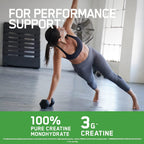 Optimum Nutrition Micronised Creatine - Creatine