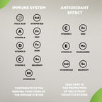 BioTech USA One-a-Day - 100 Tablets - Combination Multivitamins & Minerals