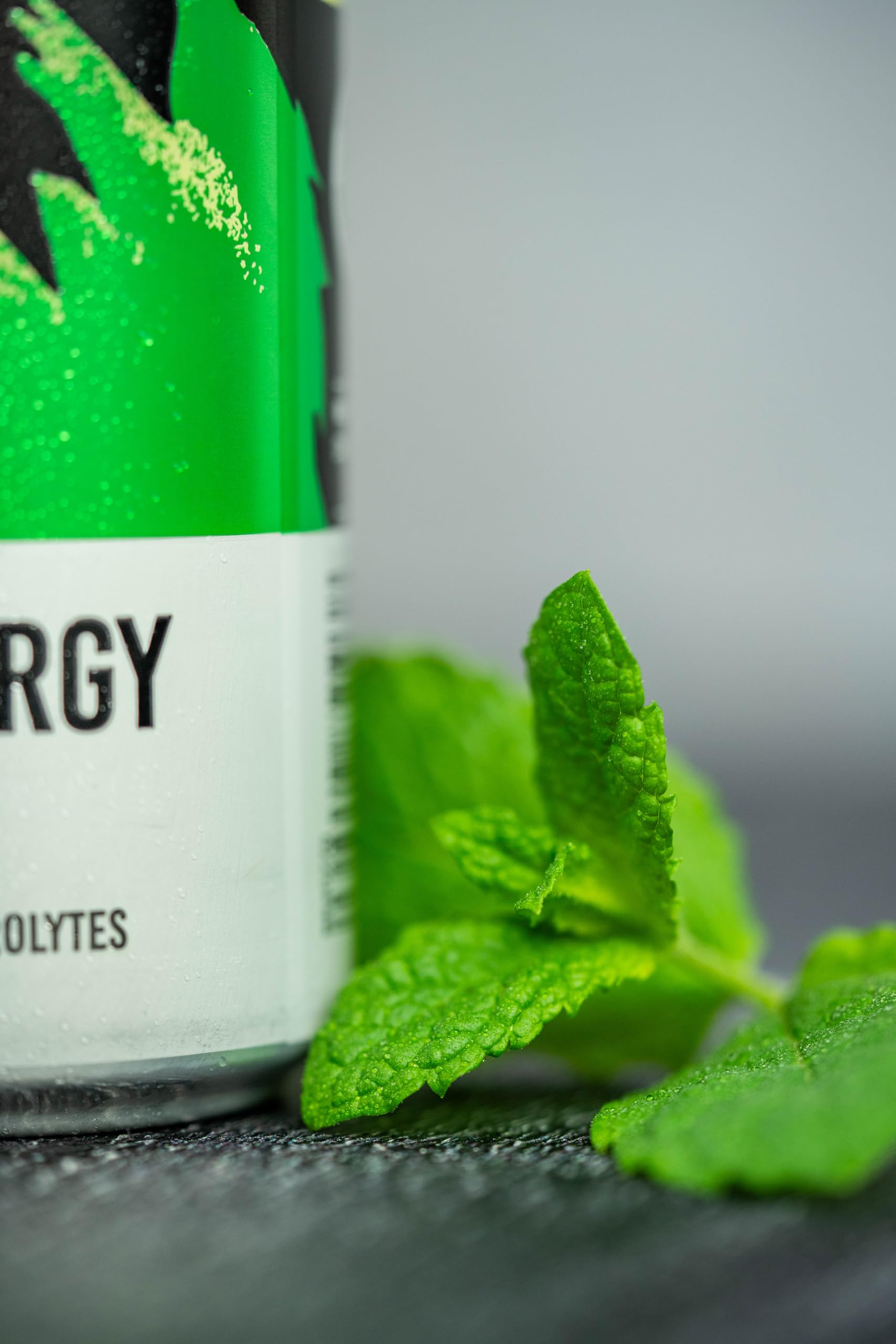 Tenzing Natural Energy 12x330ml