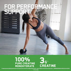 Optimum Nutrition Micronised Creatine - Creatine
