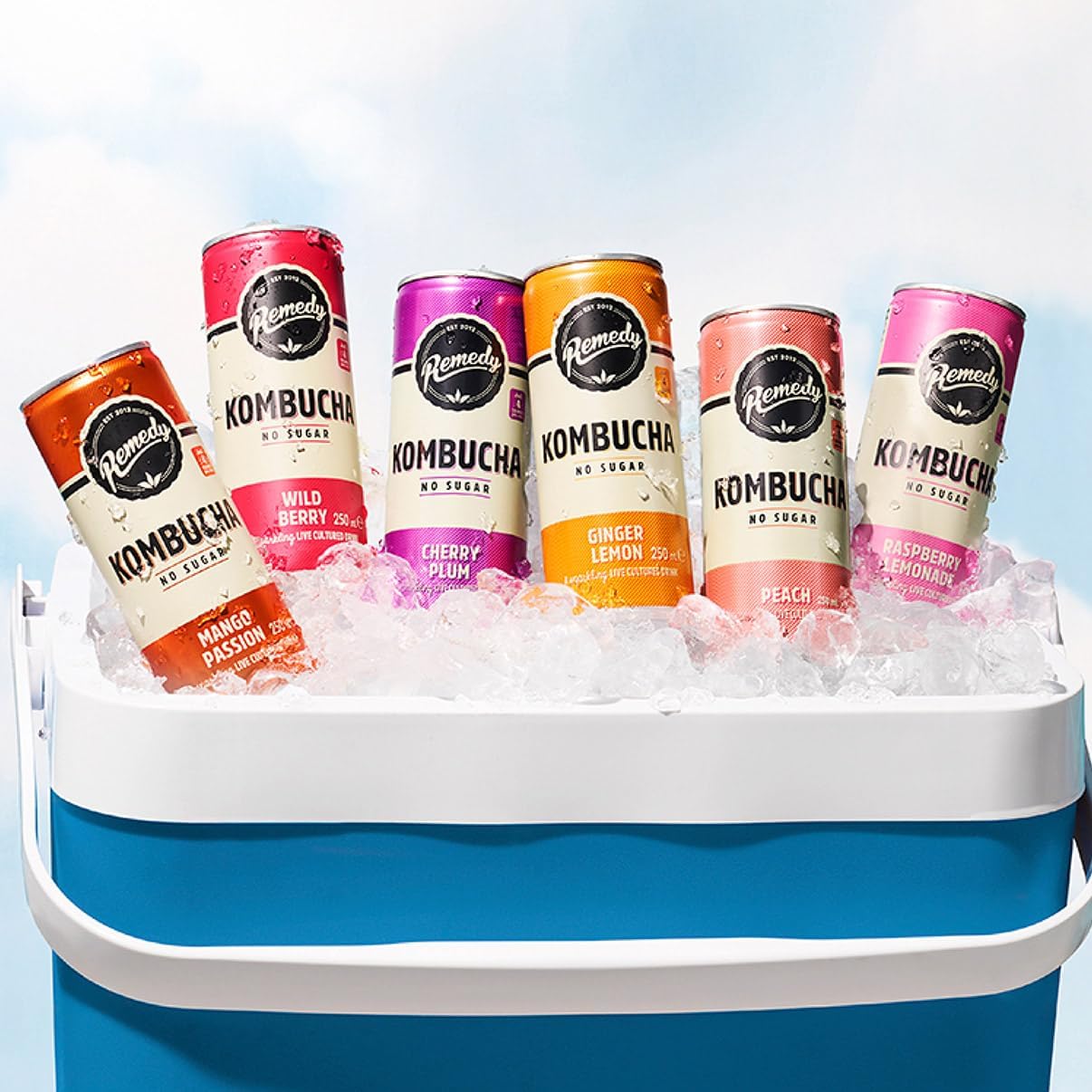 Remedy Kombucha 12x250ml