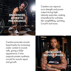 Per4m Creatine - Creatine Powder
