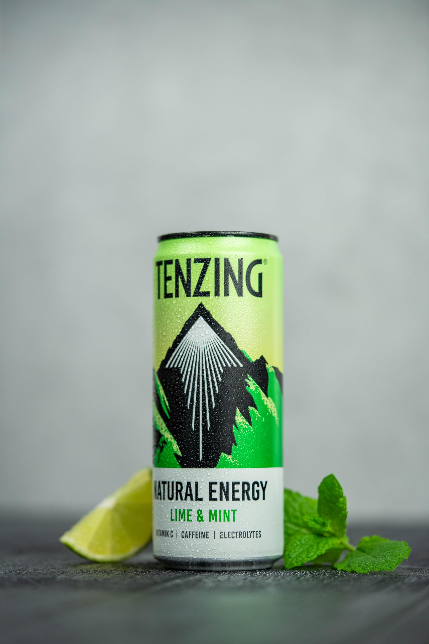 Tenzing Natural Energy 12x330ml