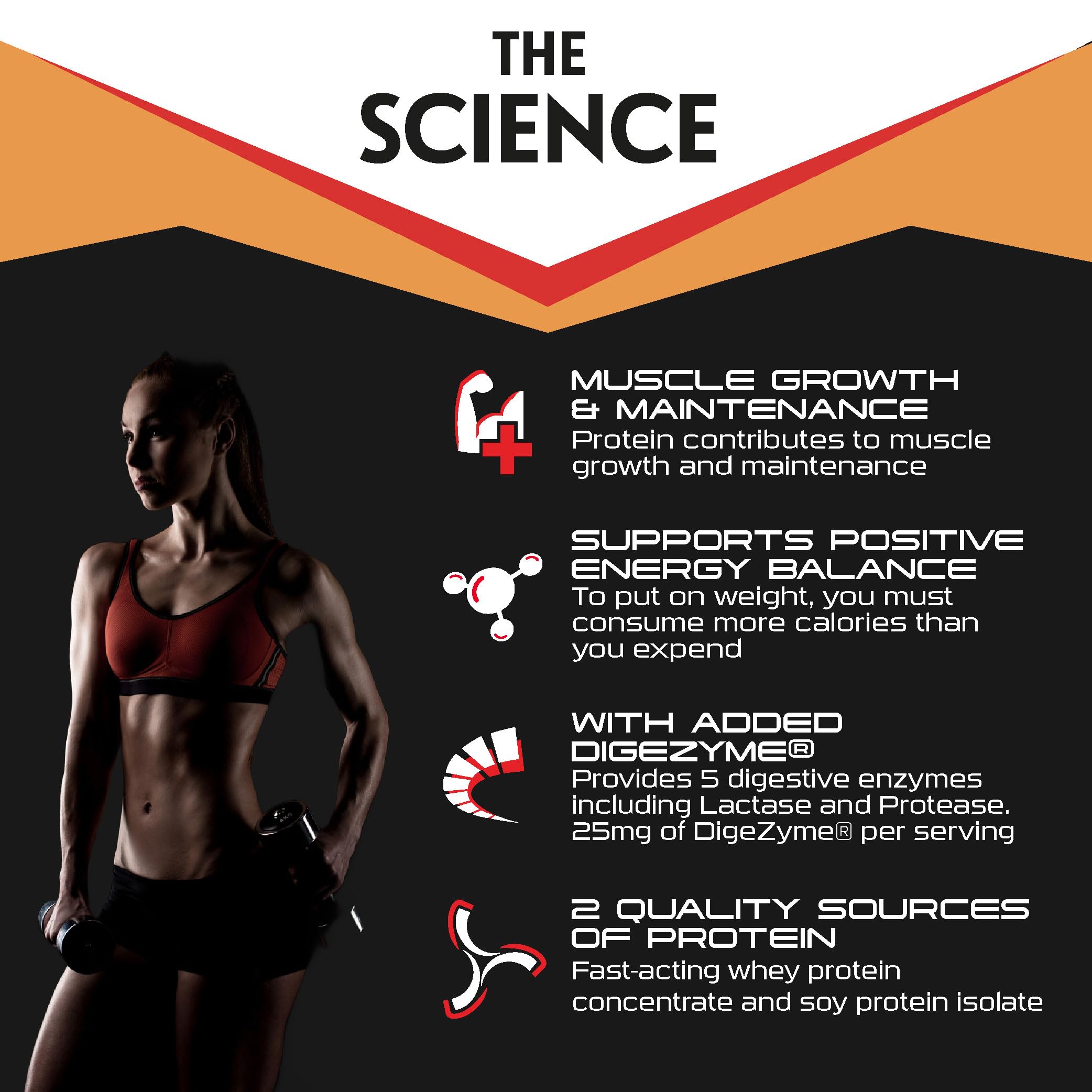 Sci-MX Total Mass 2kg Vanilla - Protein Blends