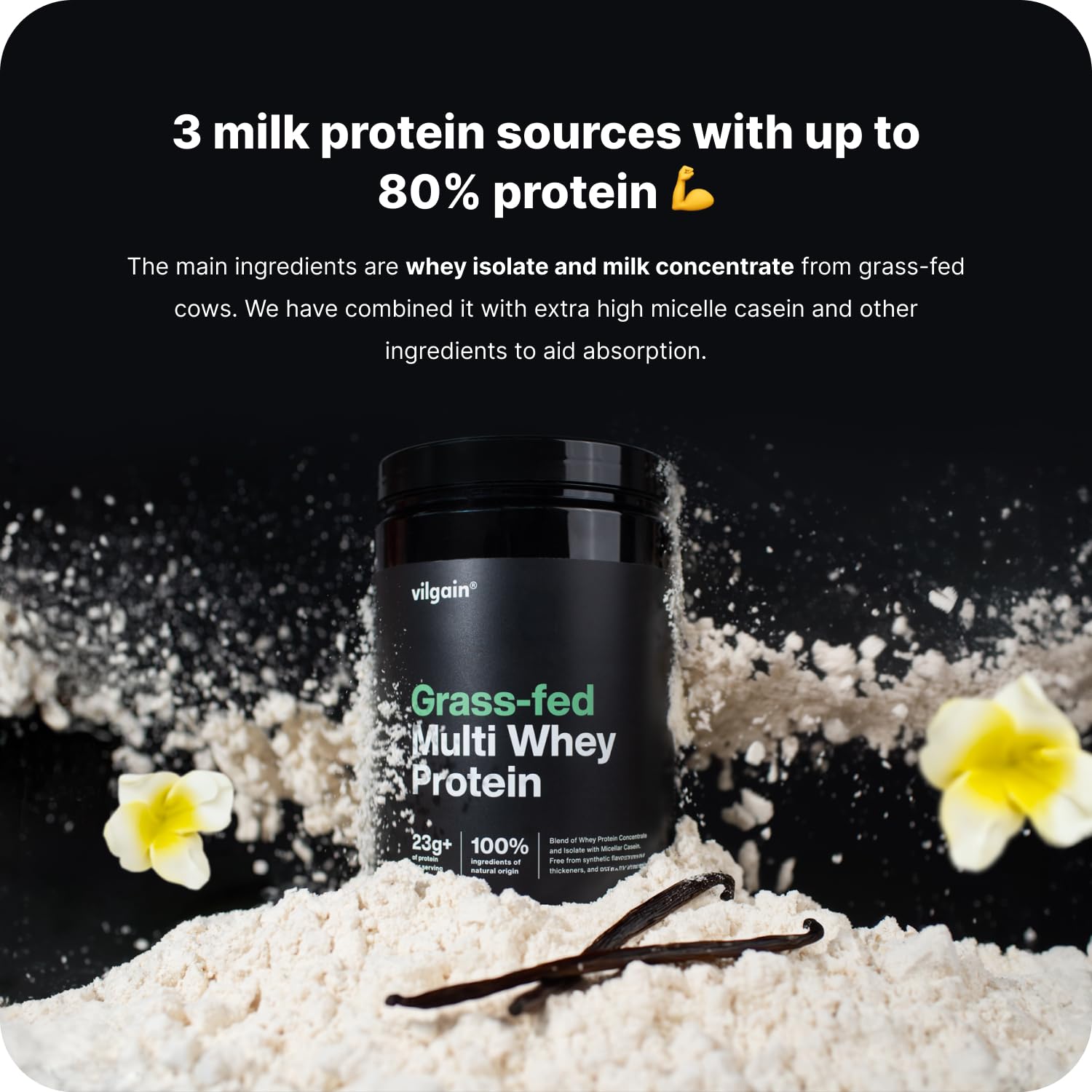 Vilgain Grass-fed Multi Whey Protein
