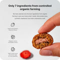 Vilgain Organic Plant Protein Energy Balls 15 x 45g