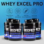 Outangled Whey Excel Pro - Whey Protein Powder