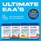 Four tubs of Applied Nutrition Amino Fuel with essential amino acids for muscle recovery