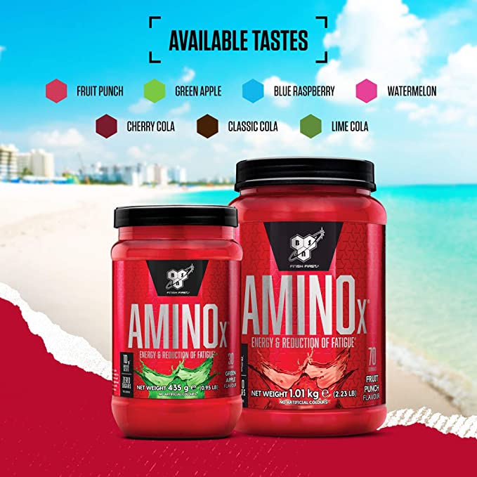 BSN Amino X 1.01kg