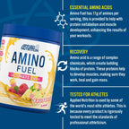 Applied Nutrition Amino Fuel
