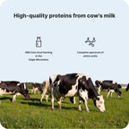 Vilgain Protein Milkshake 12x330ml