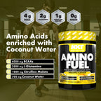 NXT Nutrition Amino Fuel 300g