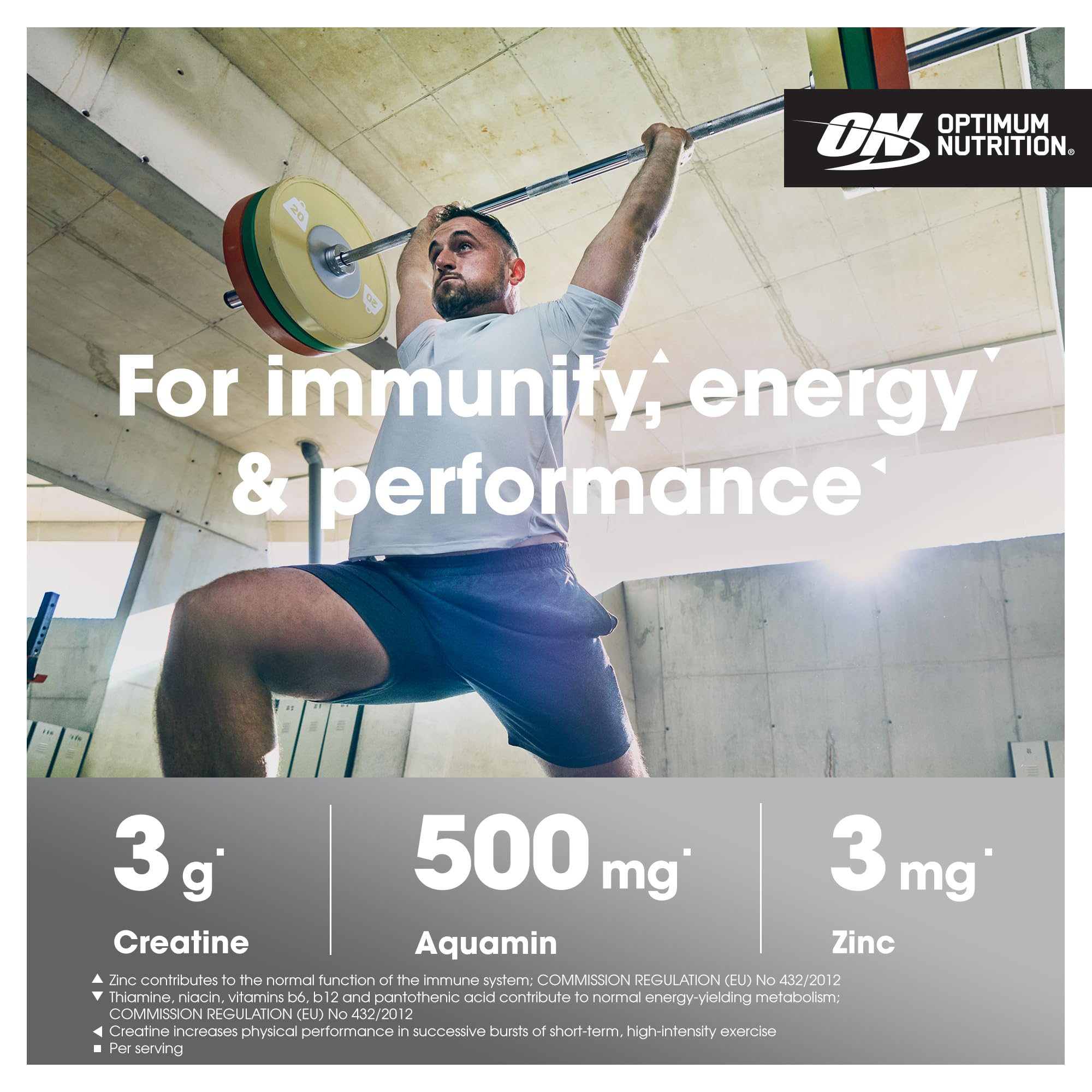 Optimum Nutrition Platinum Creatine - Creatine Powder