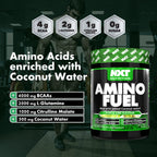 NXT Nutrition Amino Fuel 300g