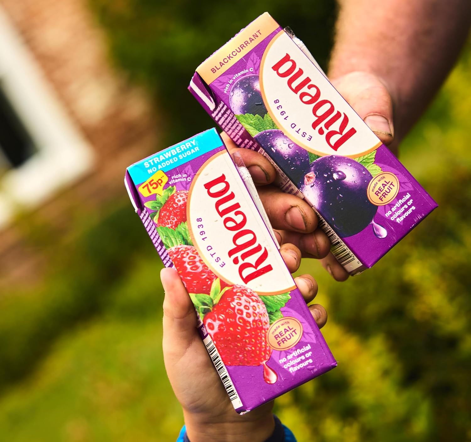 Ribena Original Blackcurrant Cartons 24x250ml