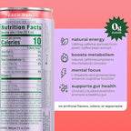 Bloom Sparkling Energy 12x250ml