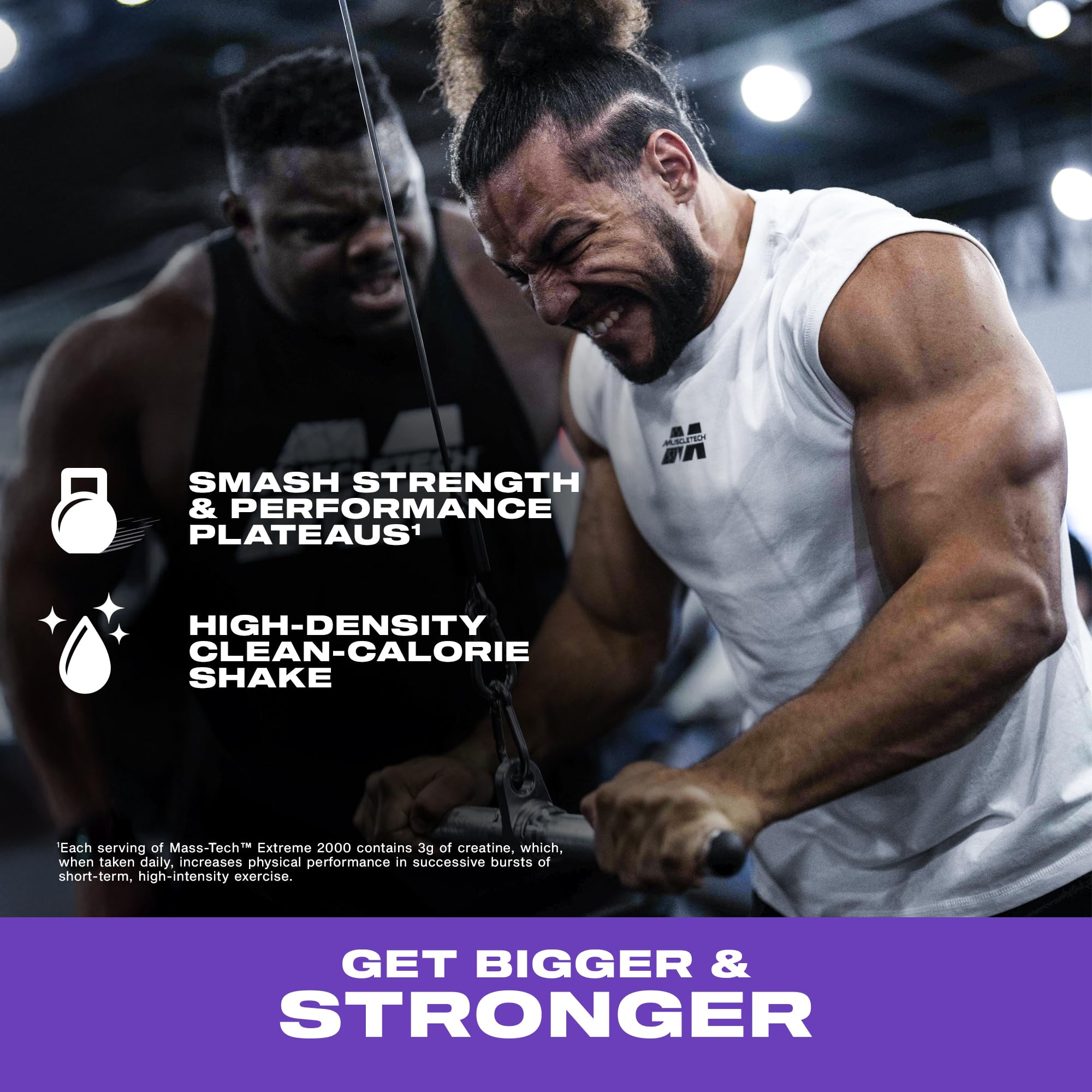 Muscletech Mass Tech Extreme