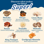 Applied Nutrition Mushroom Superblend - 160g / Unflavoured - Mushroom Powder