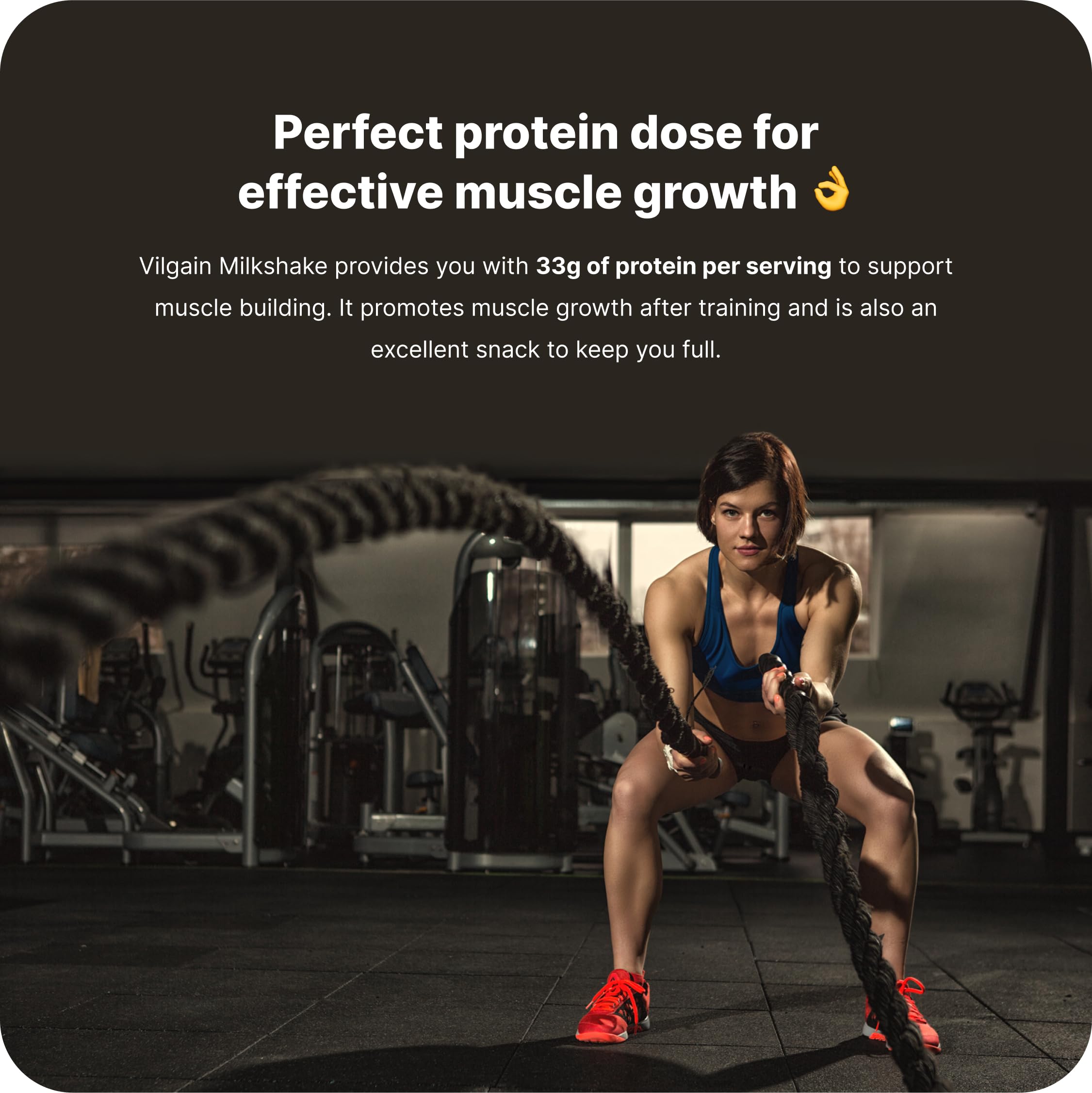 Vilgain Protein Milkshake - Whey Protein Ready-to-Drinks