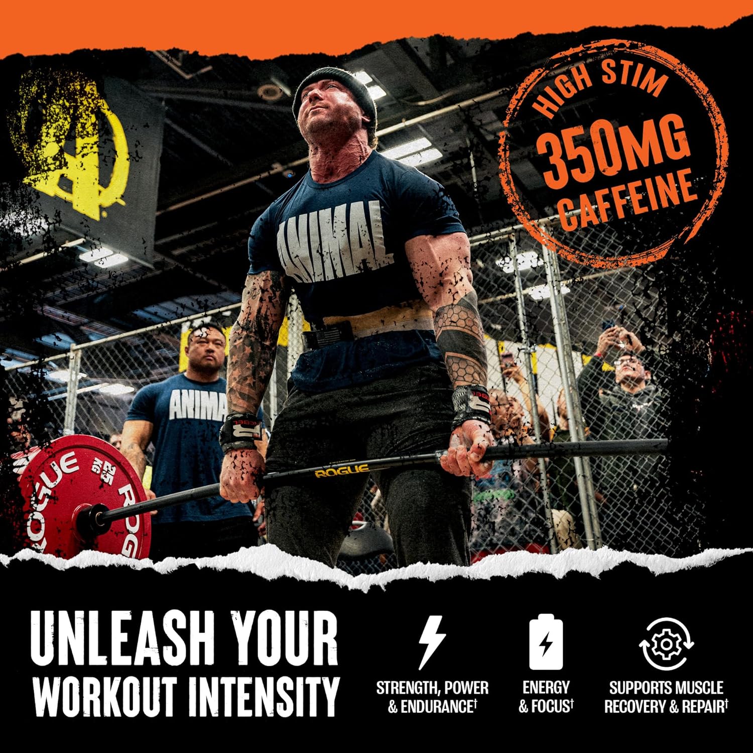 Animal Fury Pre Workout Powder | Energy, Focus, Strength, Endurance