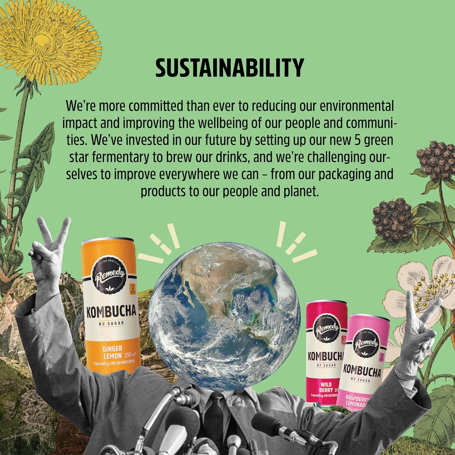 Remedy Kombucha 12x250ml