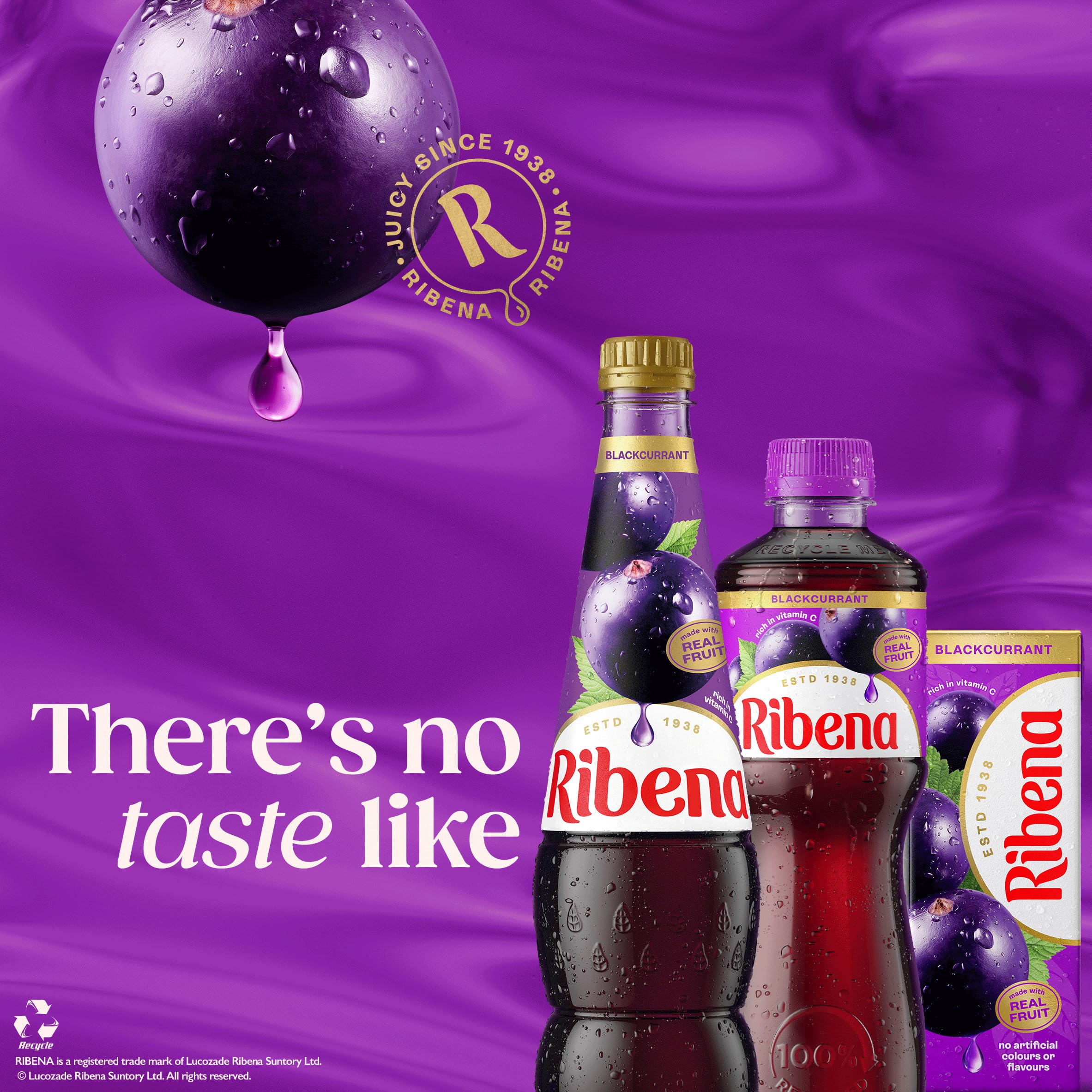 Ribena 24x250ml
