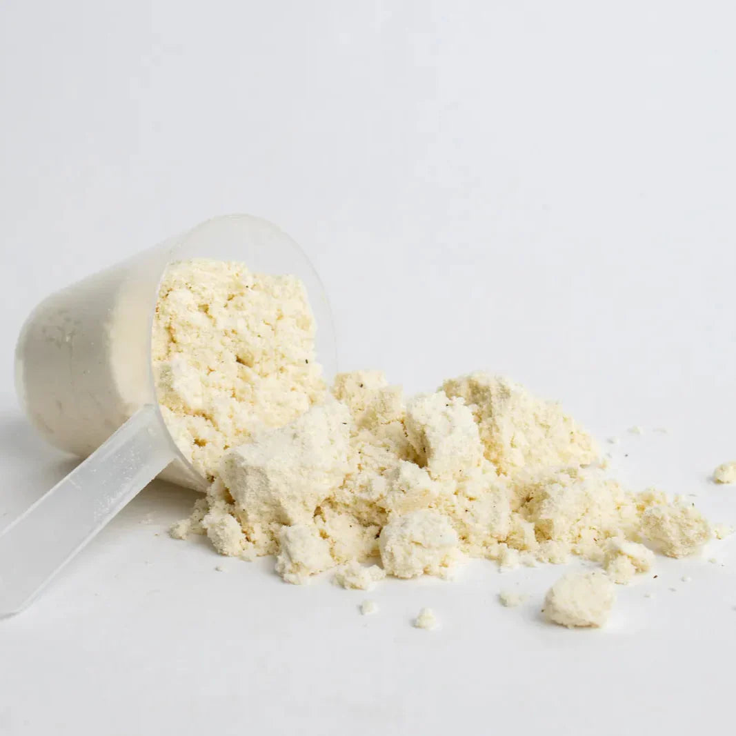 Vilgain Grass-fed Whey Protein - Whey Protein Powder