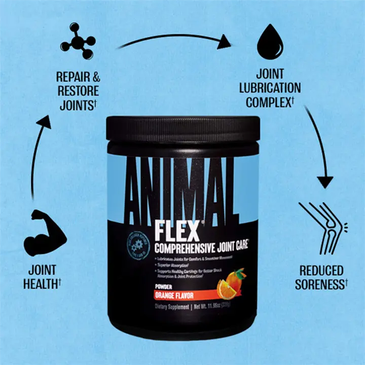 Animal Flex Powder - MyGymSupplements