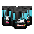 Animal Juiced Amino 375g - 366g / Fruit Punch - Amino Acids Powder